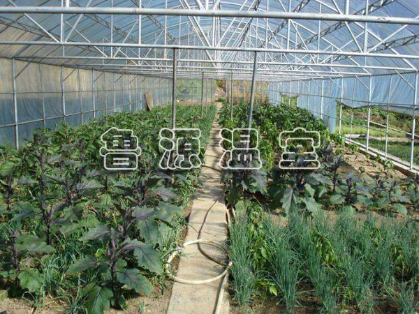 温室大棚蔬菜种植的误区