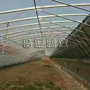 日光温室