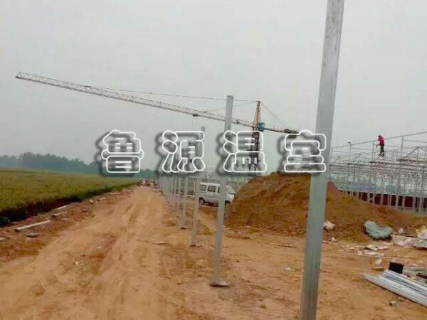 QQ图片20170606145918.jpg