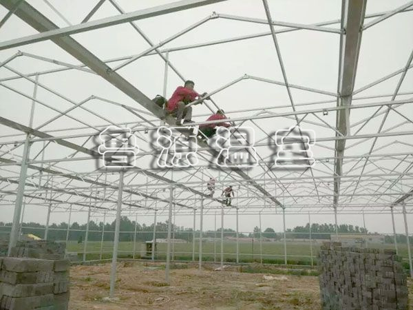 QQ图片20170606145910.jpg