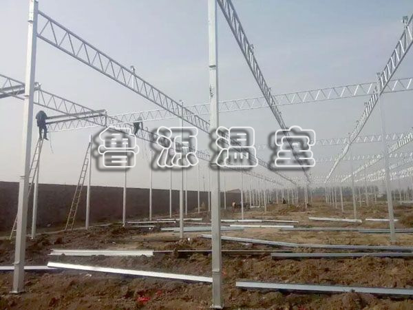 QQ图片20170606145906.jpg
