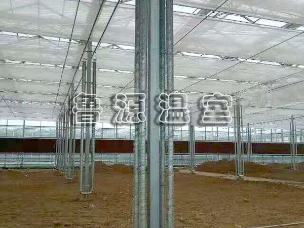 QQ图片20170606145901.jpg