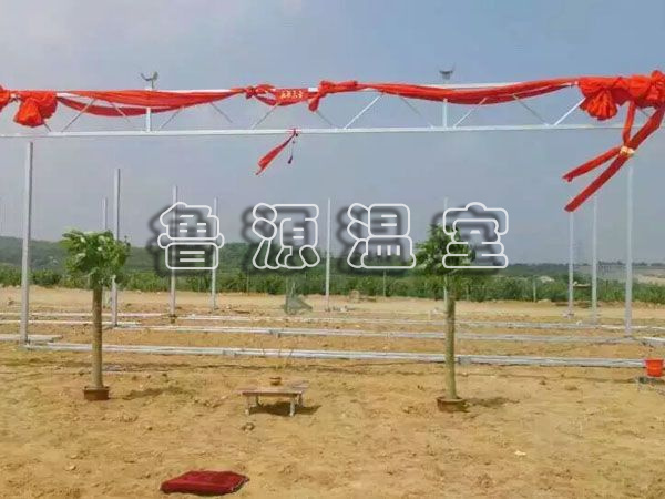 QQ图片20170606145847.jpg
