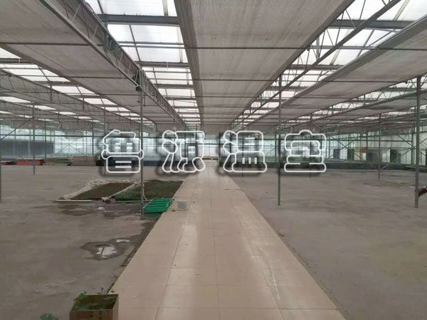 QQ图片20170606145843.jpg