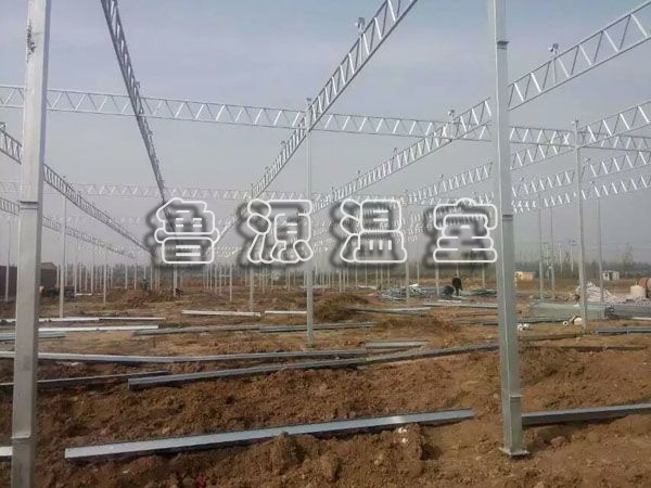 QQ图片20170606145839.jpg