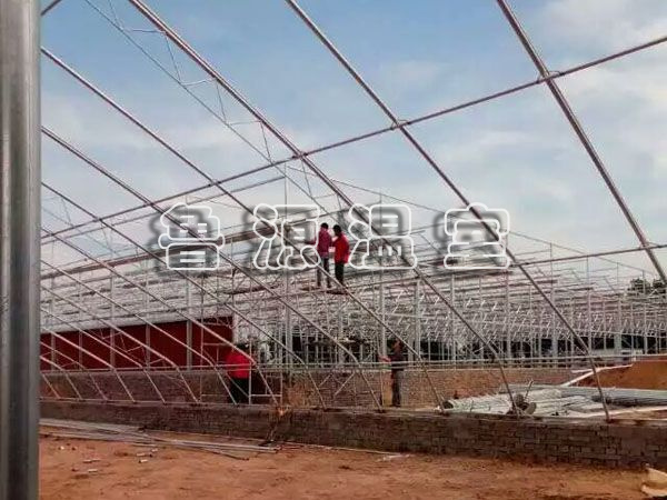QQ图片20170606145835.jpg