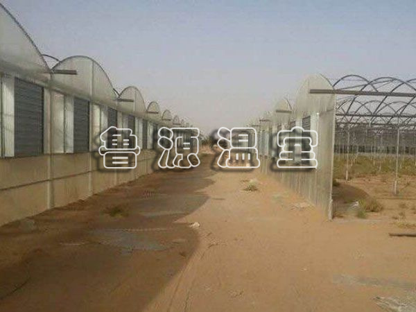 QQ图片20170606145806.jpg