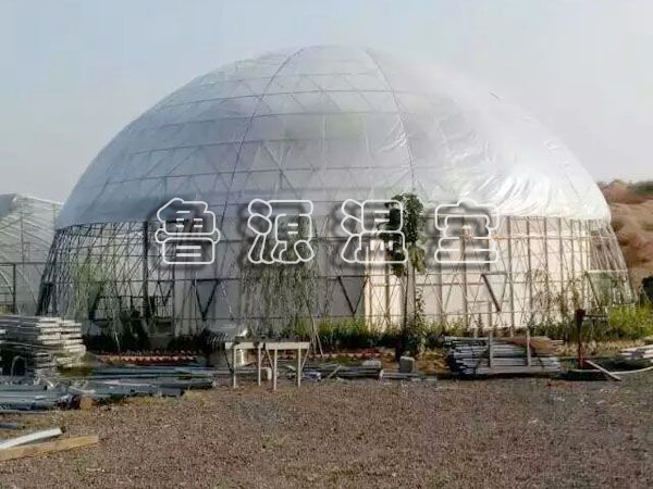QQ图片20170606145759.jpg