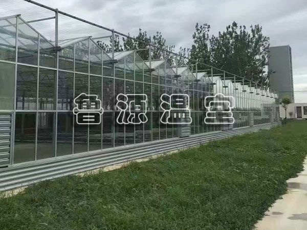 玻璃6.jpg