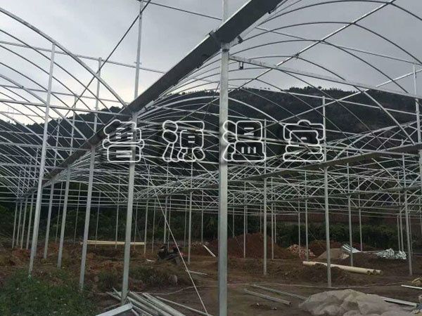 日光1.jpg