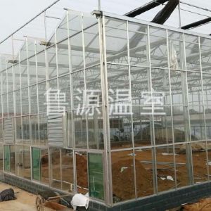 济南5万公斤采摘种植基地