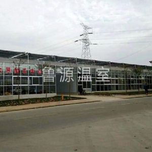 章丘大葱种植基地
