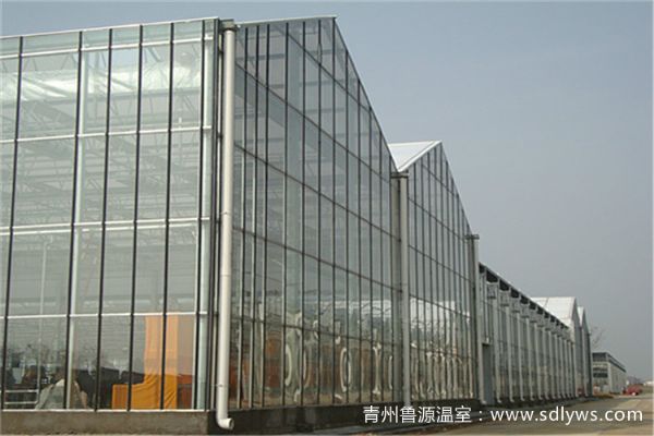 zhongkongboliwenshi.jpg
