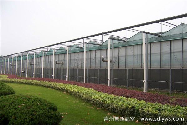 boliwenshidapengzaojia.jpg
