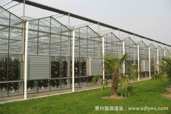 boliwenshidapengchangjia.jpg