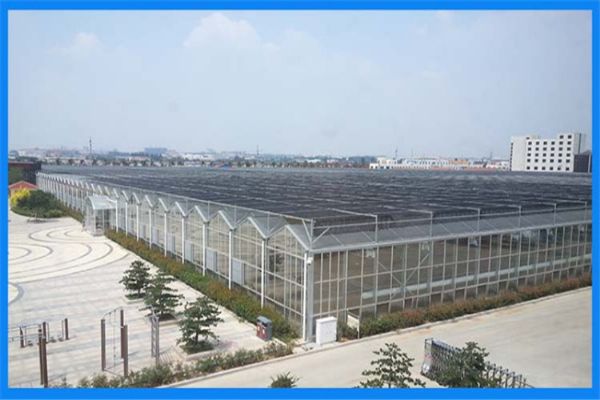 PC阳光板温室工程.jpg