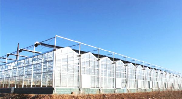 玻璃温室建设公司_meitu_12.jpg